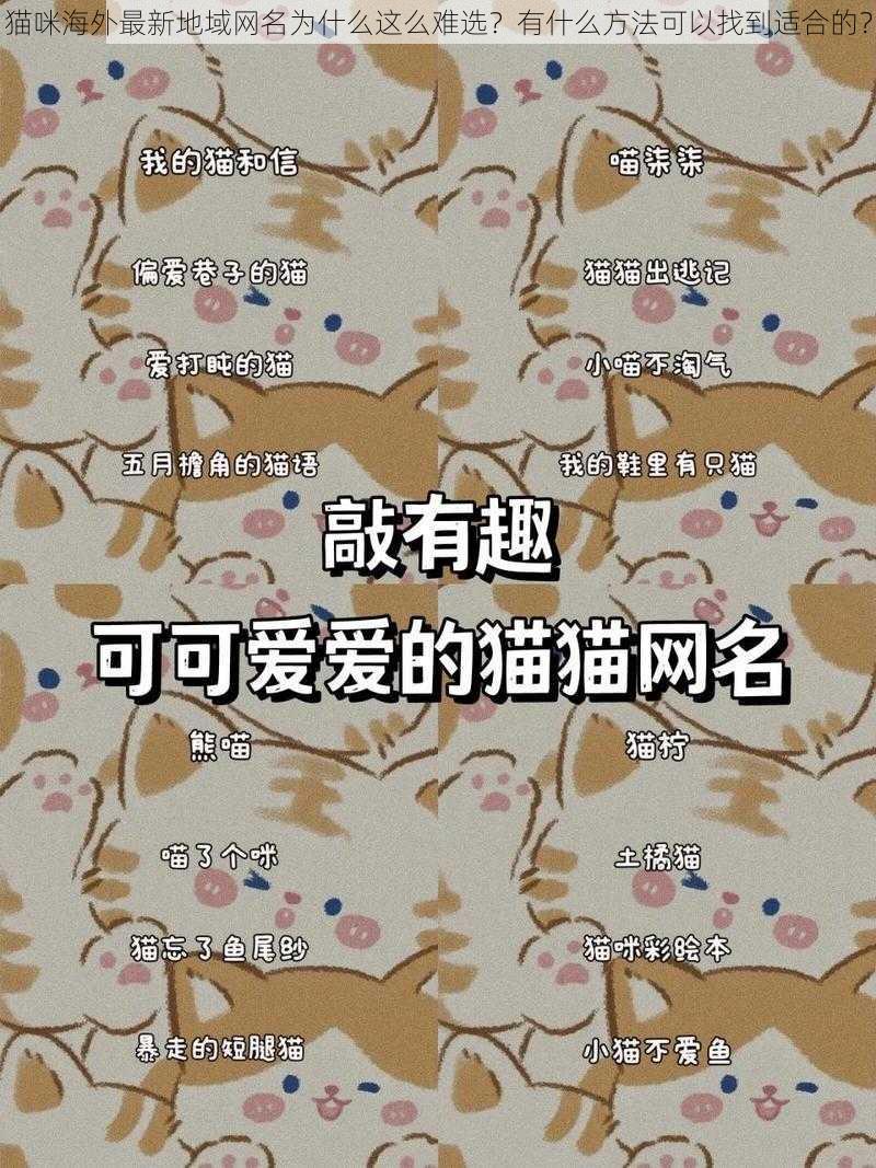 猫咪海外最新地域网名为什么这么难选？有什么方法可以找到适合的？