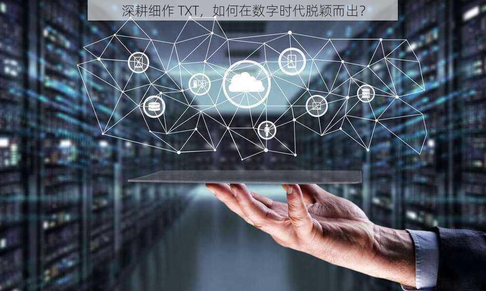 深耕细作 TXT，如何在数字时代脱颖而出？