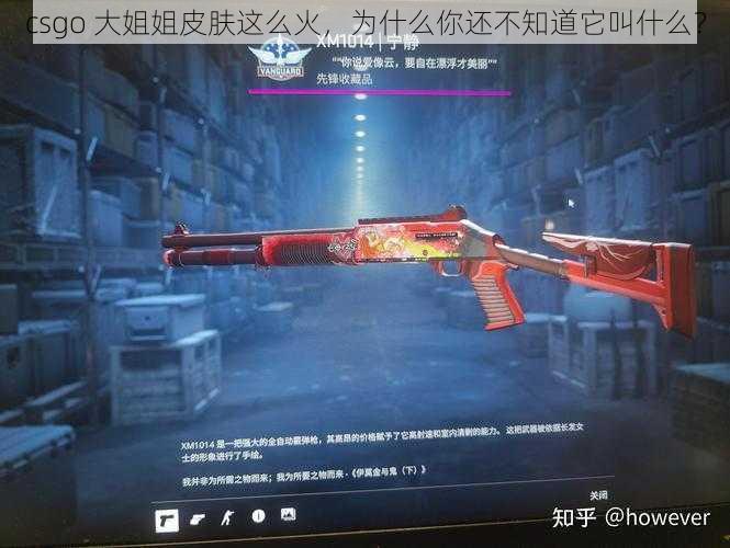 csgo 大姐姐皮肤这么火，为什么你还不知道它叫什么？