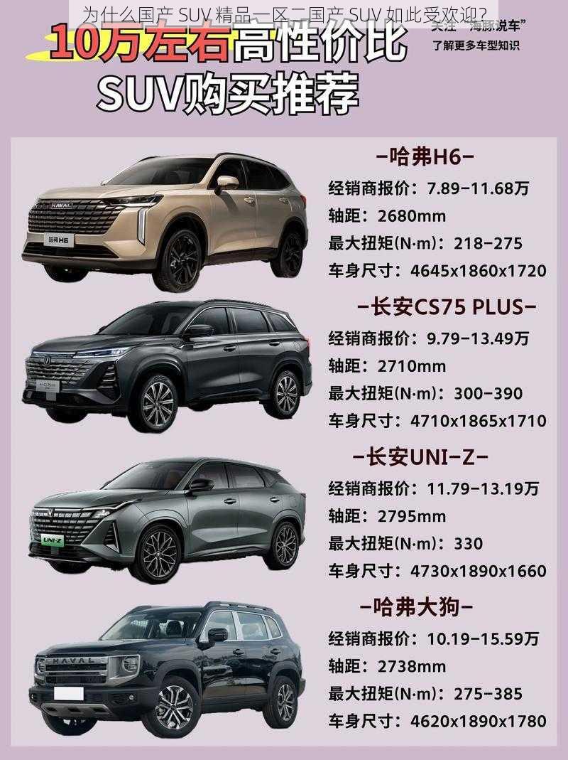 为什么国产 SUV 精品一区二国产 SUV 如此受欢迎？