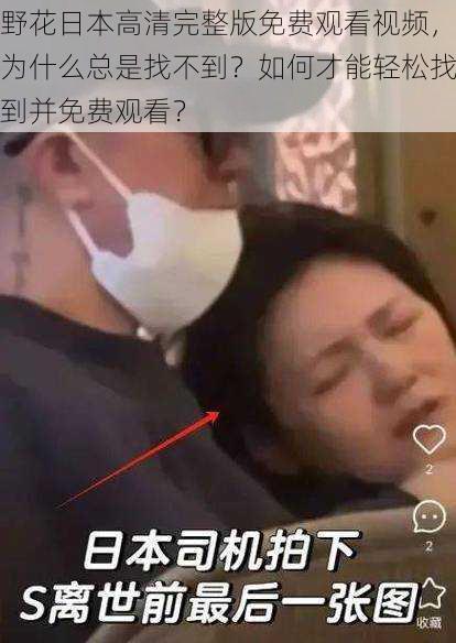 野花日本高清完整版免费观看视频，为什么总是找不到？如何才能轻松找到并免费观看？