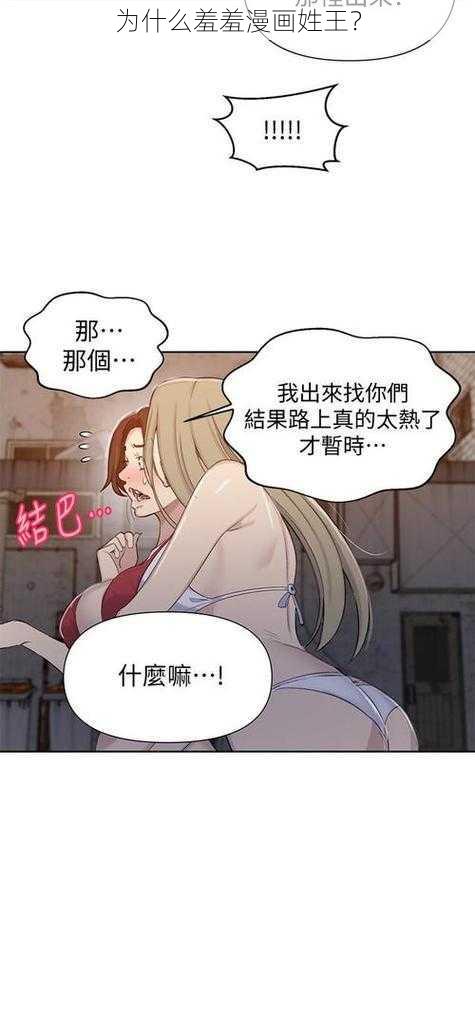 为什么羞羞漫画姓王？