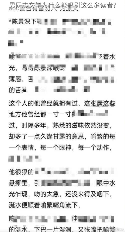 男同志文学为什么能吸引这么多读者？