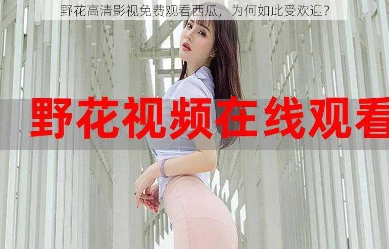 野花高清影视免费观看西瓜，为何如此受欢迎？