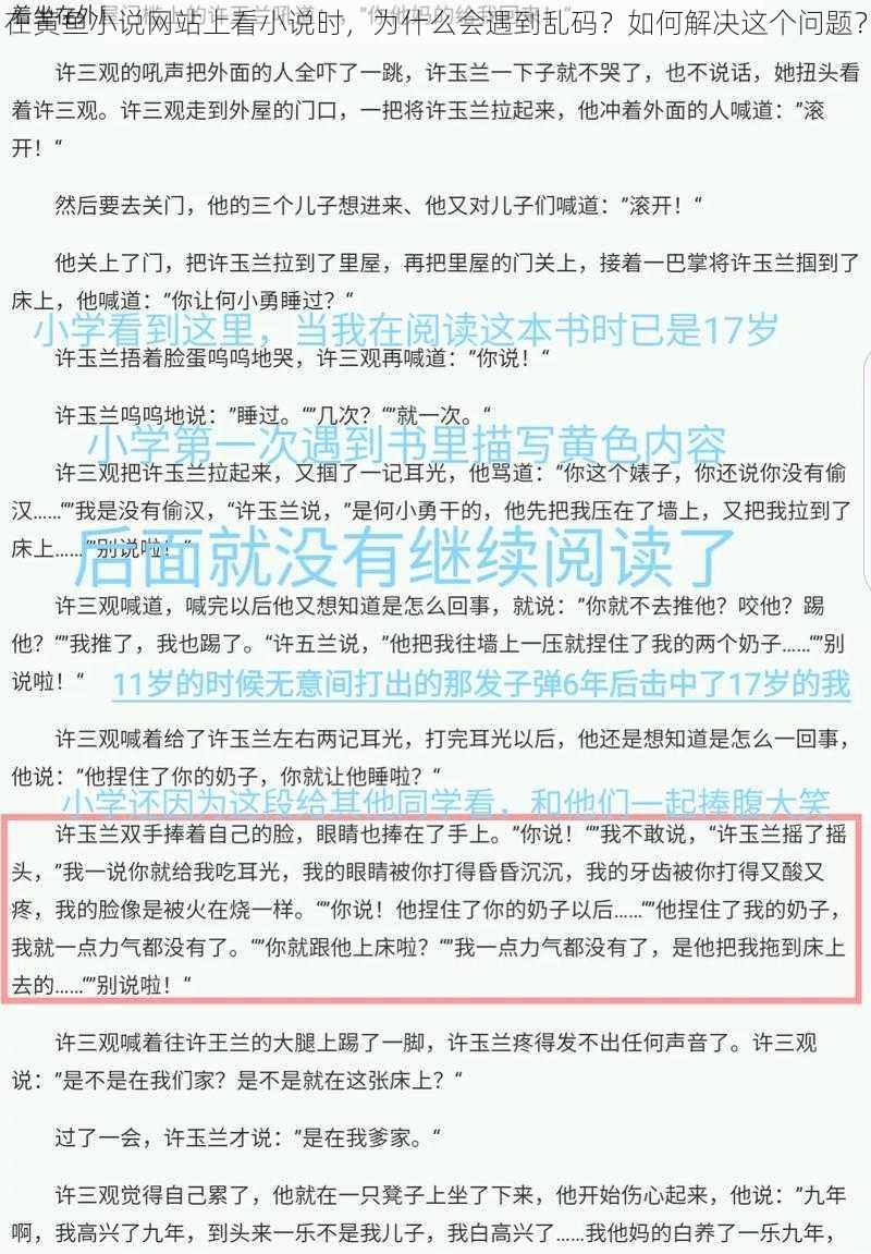 在黄鱼小说网站上看小说时，为什么会遇到乱码？如何解决这个问题？