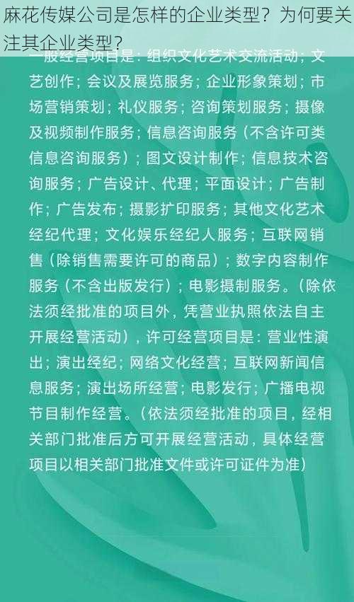 麻花传媒公司是怎样的企业类型？为何要关注其企业类型？