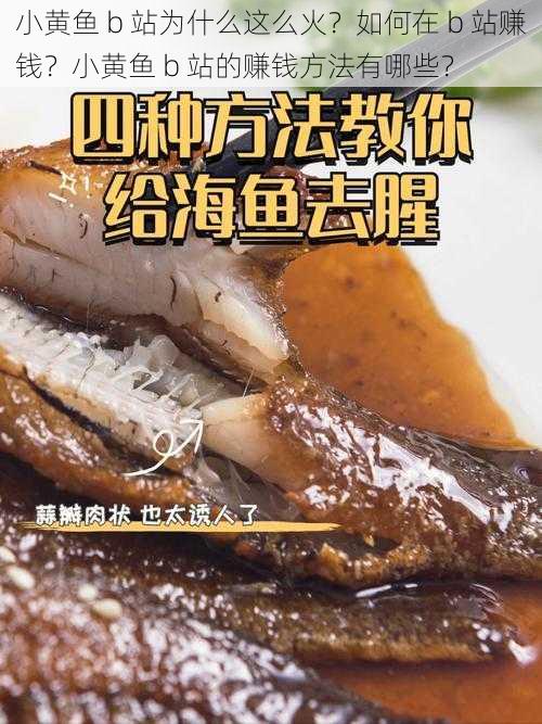 小黄鱼 b 站为什么这么火？如何在 b 站赚钱？小黄鱼 b 站的赚钱方法有哪些？