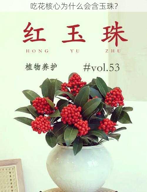 吃花核心为什么会含玉珠？