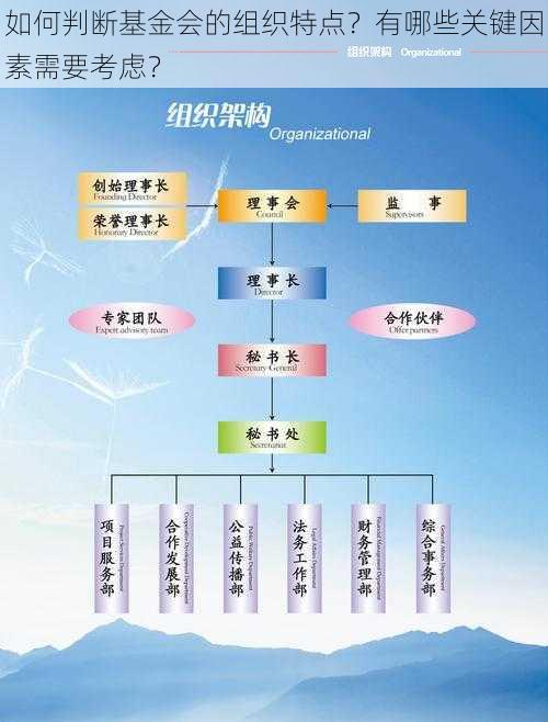 如何判断基金会的组织特点？有哪些关键因素需要考虑？