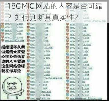 18C MIC 网站的内容是否可靠？如何判断其真实性？