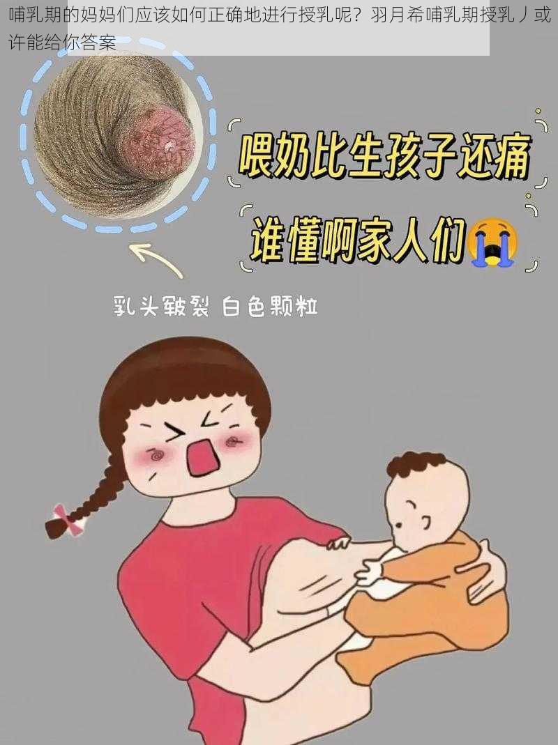 哺乳期的妈妈们应该如何正确地进行授乳呢？羽月希哺乳期授乳丿或许能给你答案