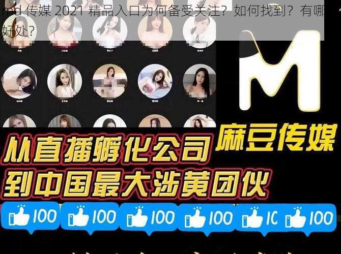 md 传媒 2021 精品入口为何备受关注？如何找到？有哪些好处？