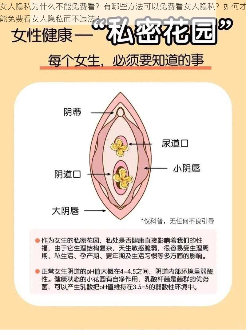 女人隐私为什么不能免费看？有哪些方法可以免费看女人隐私？如何才能免费看女人隐私而不违法？