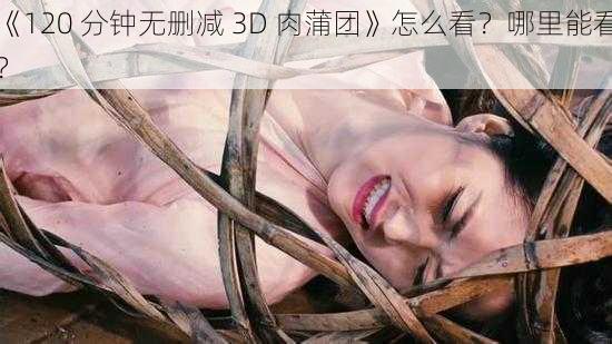 《120 分钟无删减 3D 肉蒲团》怎么看？哪里能看？