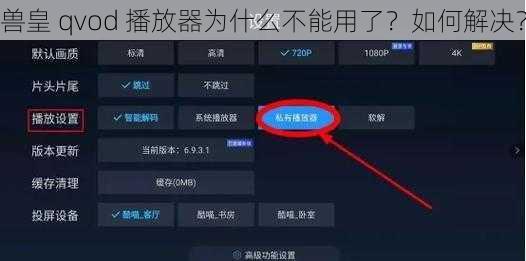 兽皇 qvod 播放器为什么不能用了？如何解决？