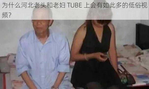 为什么河北老头和老妇 TUBE 上会有如此多的低俗视频？