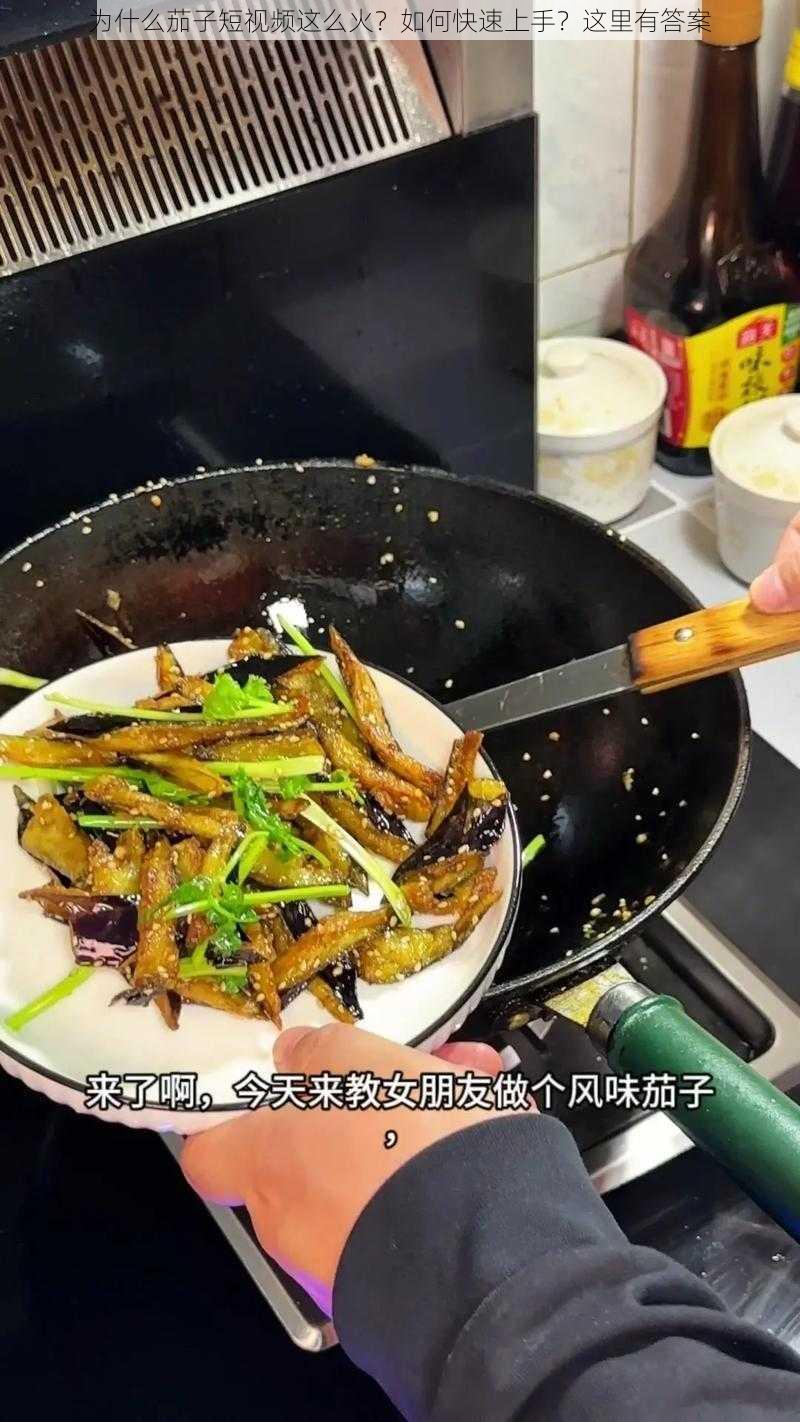 为什么茄子短视频这么火？如何快速上手？这里有答案