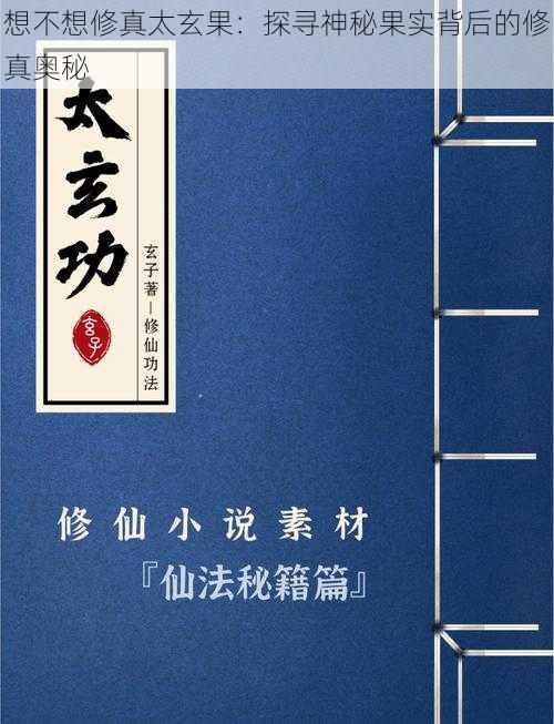 想不想修真太玄果：探寻神秘果实背后的修真奥秘