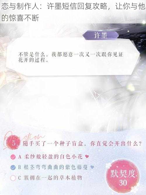 恋与制作人：许墨短信回复攻略，让你与他的惊喜不断