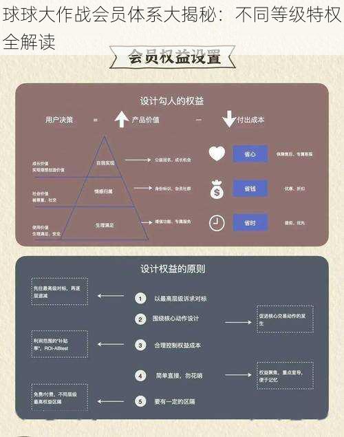 球球大作战会员体系大揭秘：不同等级特权全解读