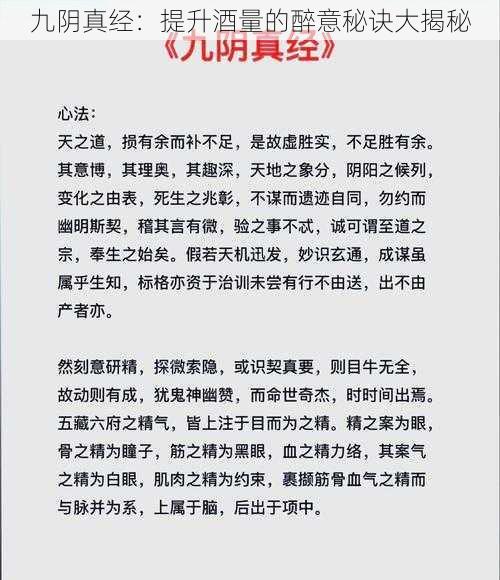 九阴真经：提升酒量的醉意秘诀大揭秘