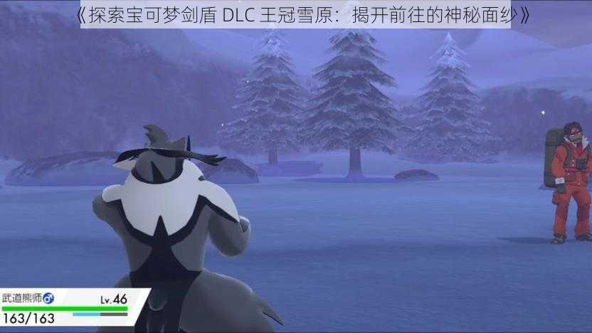 《探索宝可梦剑盾 DLC 王冠雪原：揭开前往的神秘面纱》