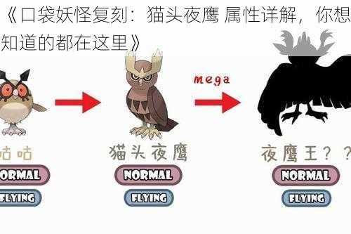 《口袋妖怪复刻：猫头夜鹰 属性详解，你想知道的都在这里》