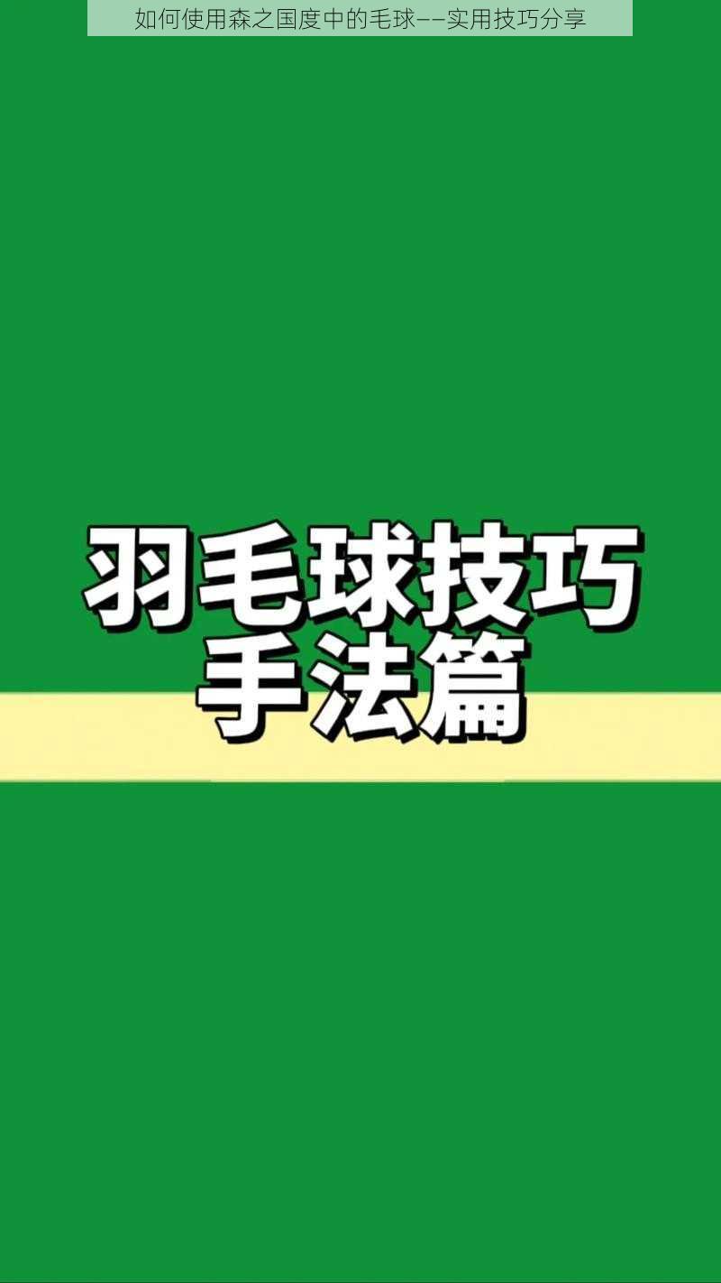 如何使用森之国度中的毛球——实用技巧分享