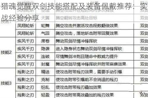 猎魂觉醒双剑技能搭配及装备佩戴推荐：实战经验分享